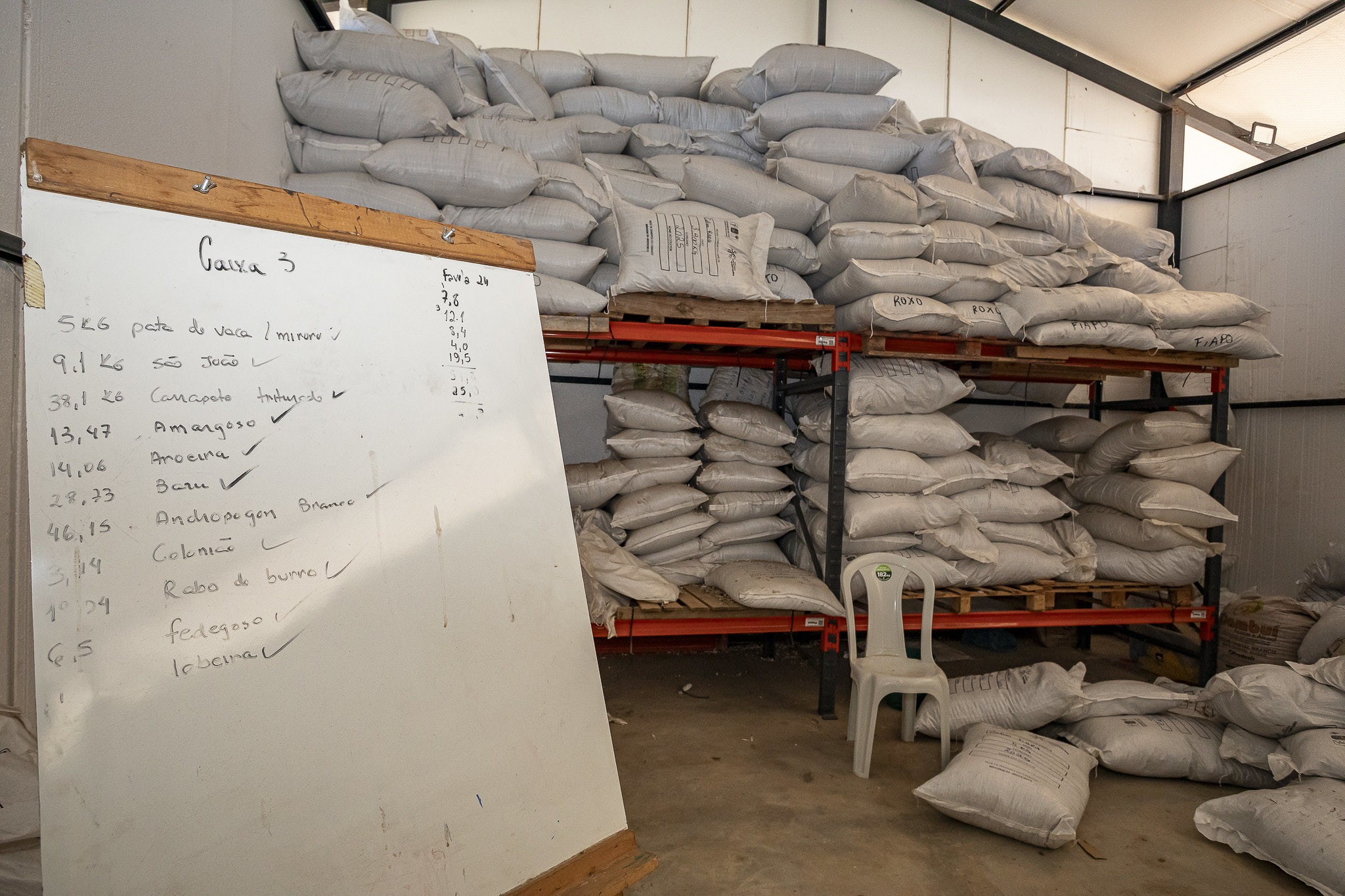 Imagem Restauração Ecológica PA4--37 da expedição de expedicoes/restauracao_25